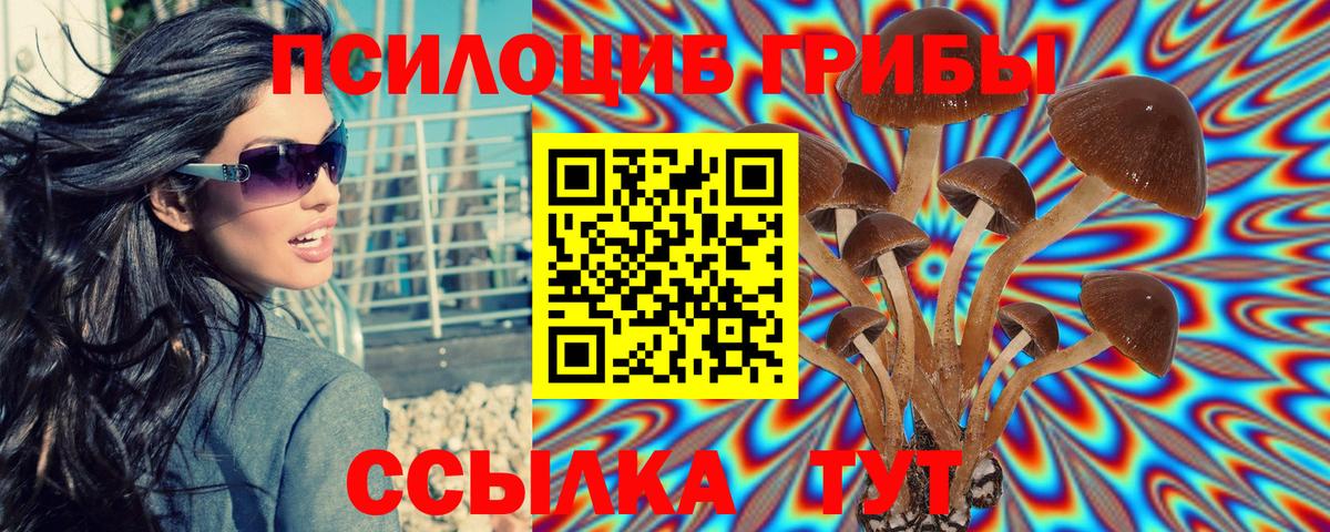 Видное  Псилоцибиновые грибы Cubensis  Вход с VPN 